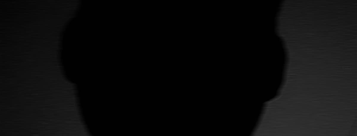 Voryn